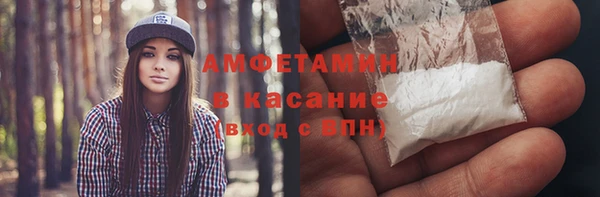 шишки Алзамай