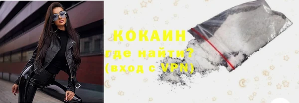 шишки Алзамай