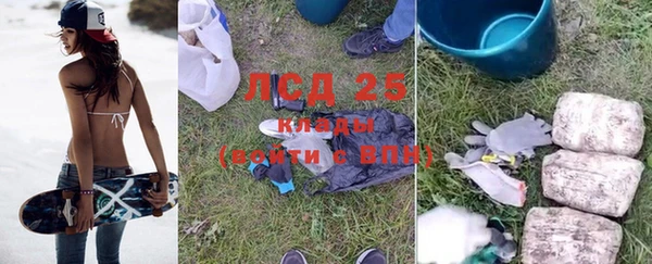 прущий лед Пересвет
